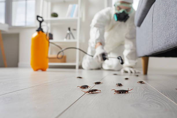 Trusted Fumigation Services service in Glens Falls, NY - Nex Pest Control
